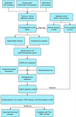 Identification and Validation of a Novel Six-Gene Expression Signature for Predicting Hepatocellular Carcinoma Prognosis